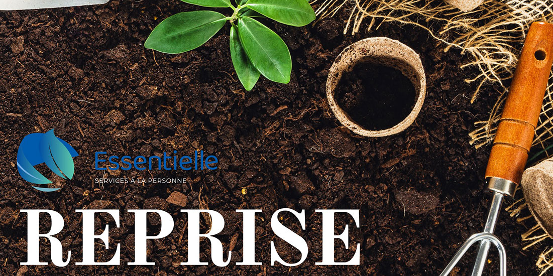  Le jardin reprend vie… et nous aussi ! 