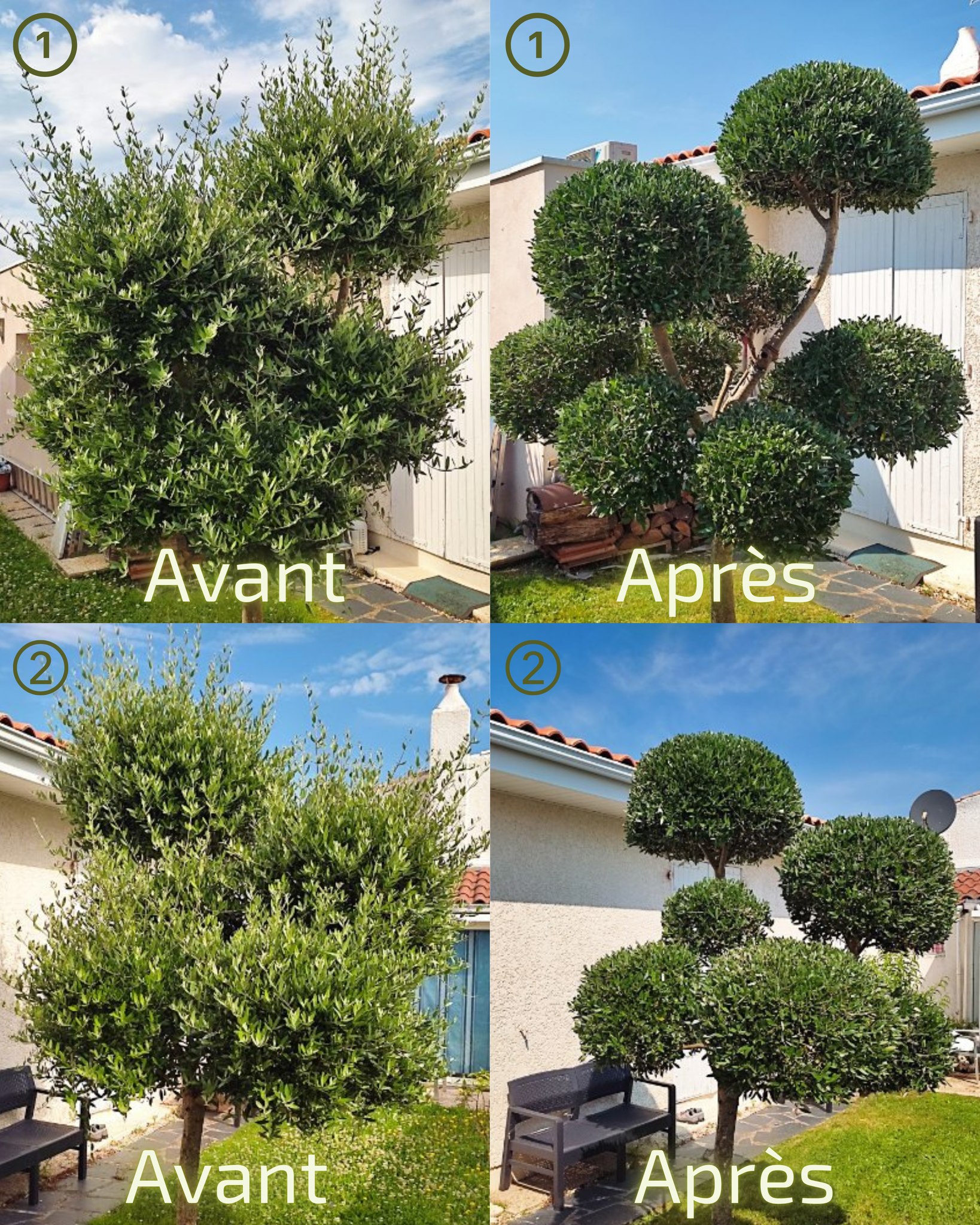 643923660 1419932250144786 518996955259441698 n