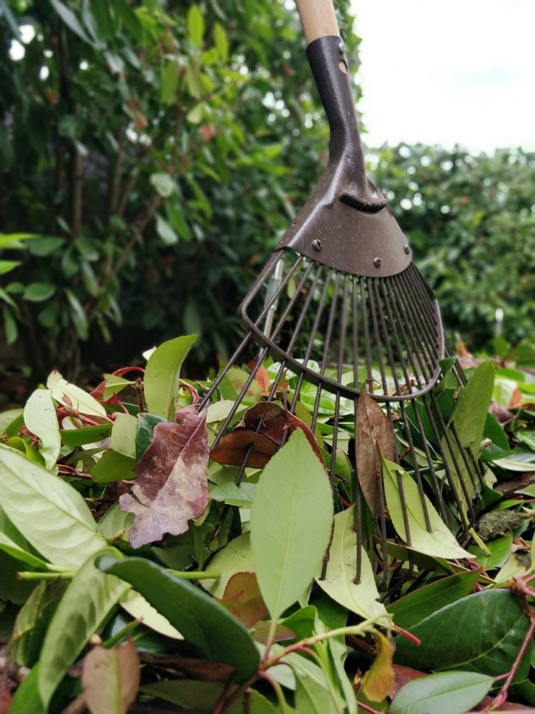 hedges-3435898_1280 ramassage déchets vert entretien espace vert jardinage